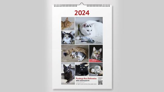 Kalendarz na 2024 fundacji Koci Galimatias