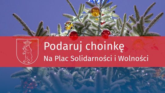 Miasto Łuków: Podaruj Choinkę na Plac Solidarności i Wolności