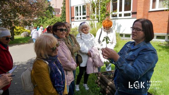 Spacer ziołowy ŁUTW [FOTO]