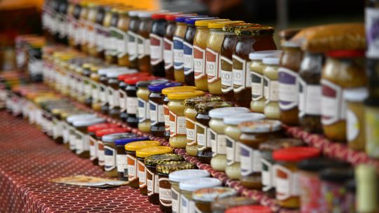 Święto Miodów Ziemi Łukowskiej 2025 – tradycja, muzyka i lokalne smaki [FOTO]