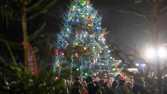 W Świątecznej Krainie 2025 [FOTO]