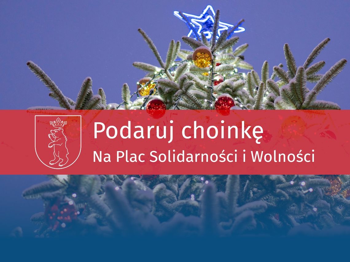 Miasto Łuków: Podaruj Choinkę na Plac Solidarności i Wolności