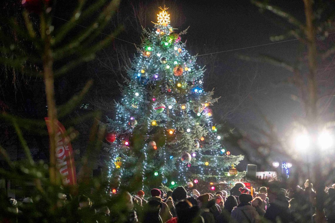 W Świątecznej Krainie 2025 [FOTO]