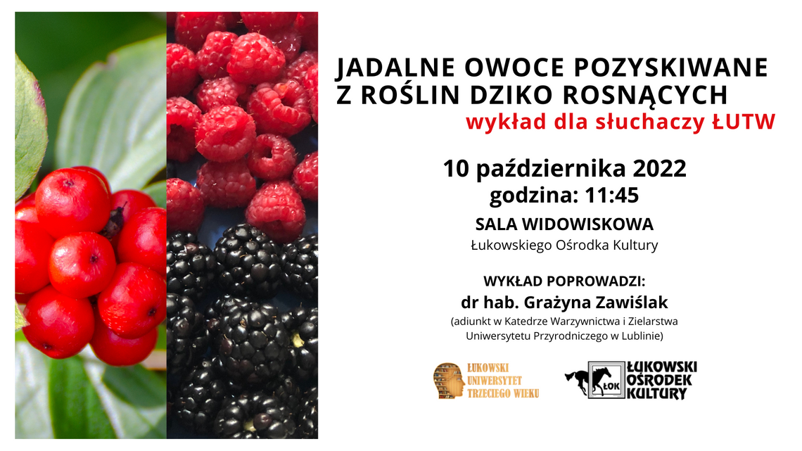 Wykład ŁUTW: Jadalne owoce pozyskiwane z roślin dziko rosnących /10.10.2022